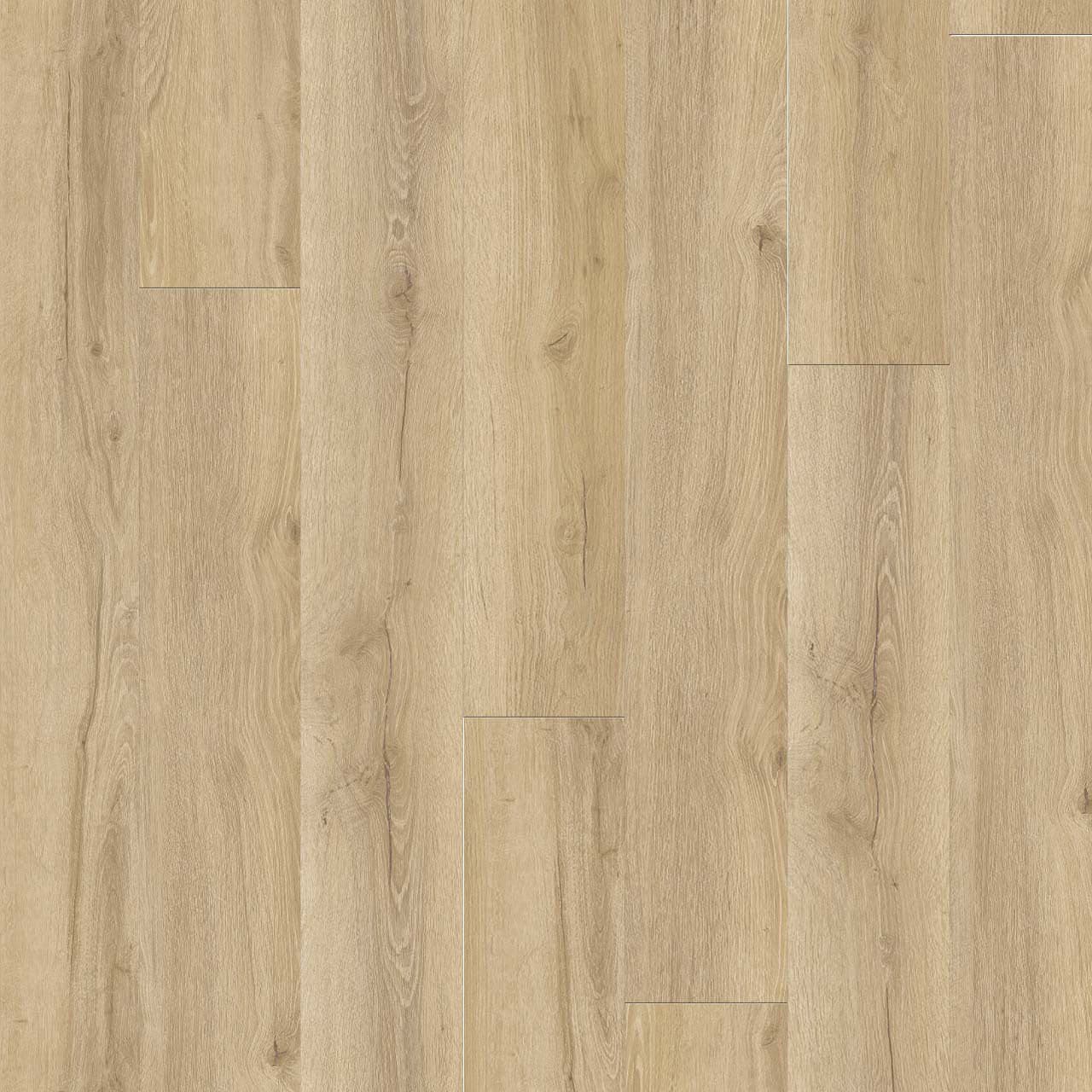 New Standard Plus — additional view 3