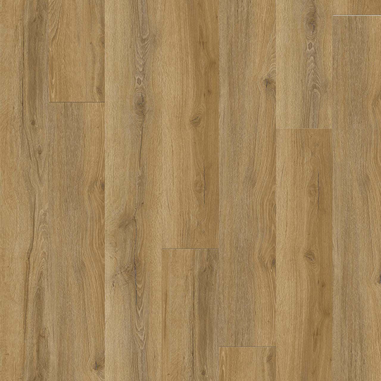 New Standard Plus — additional view 4