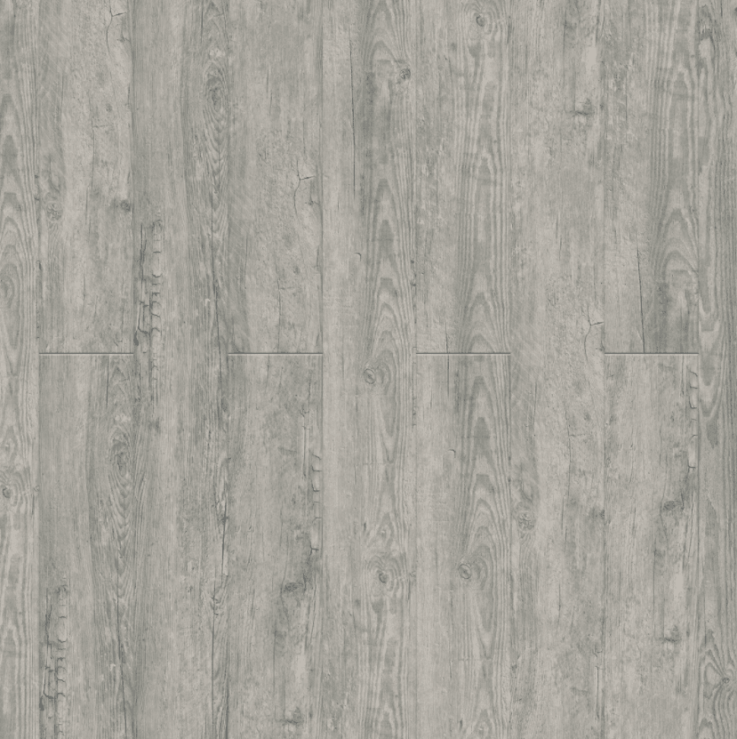New Standard II — additional view 2