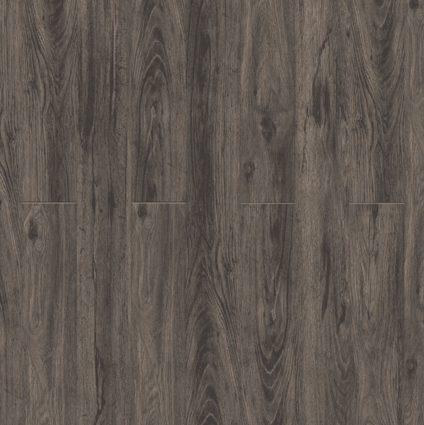 New Standard II — additional view 3