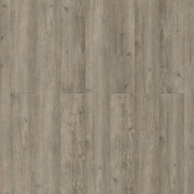 New Standard II — additional view 4