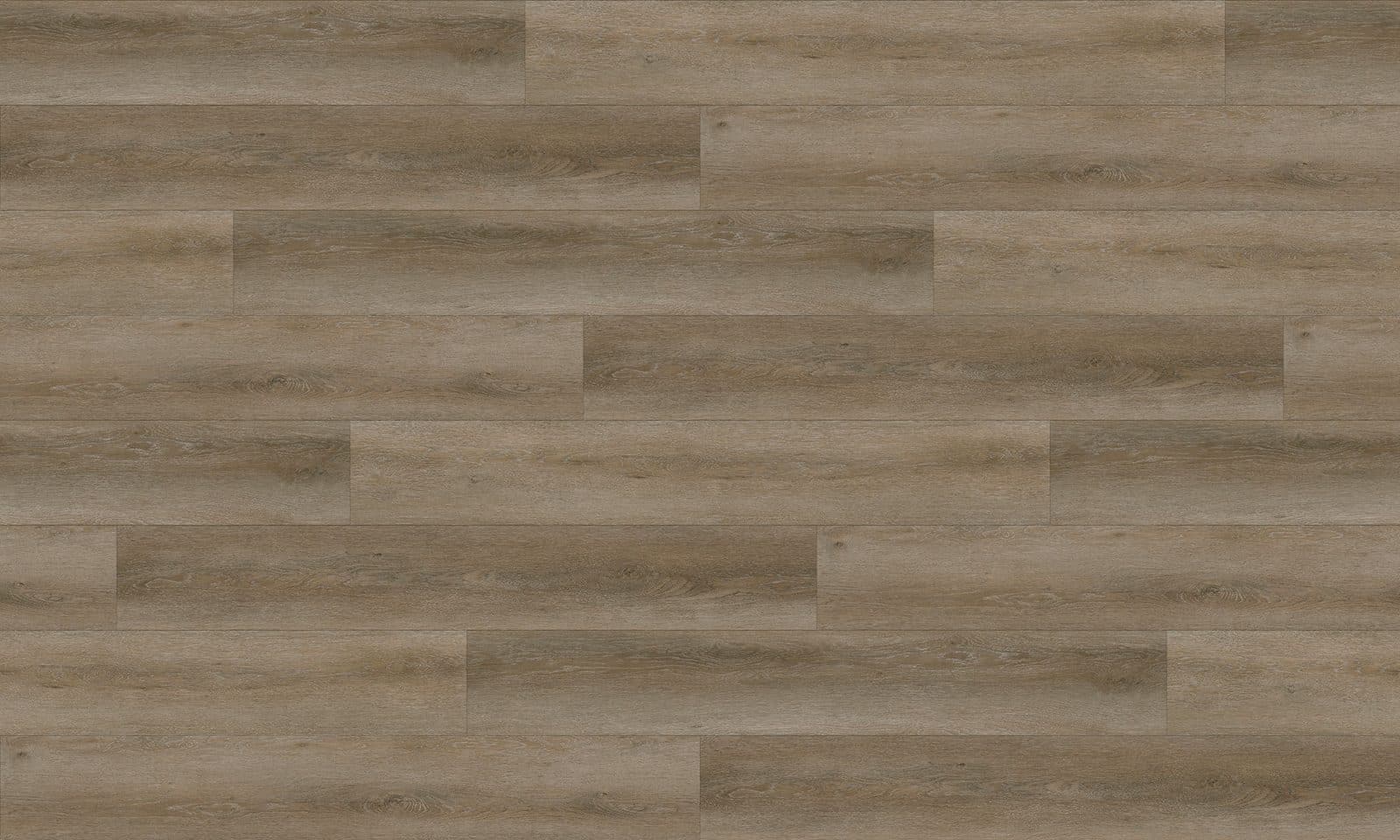 Raleigh Oak — additional view 3